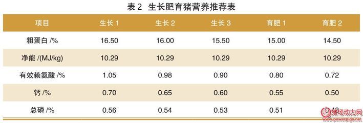 顶级红龙鱼品牌排行榜最新：顶级红龙鱼品牌排行榜 水族问答 第1张