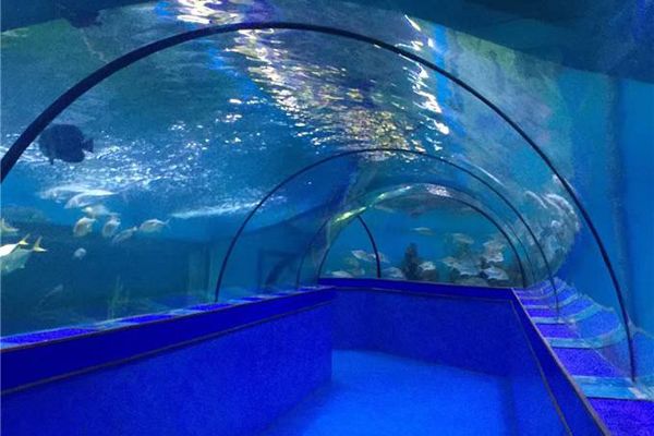 水族馆一年能赚多少钱人民币啊知乎：上海海洋水族馆一年能赚多少钱人民币的详细分析 水族馆百科（水族馆加盟） 第1张