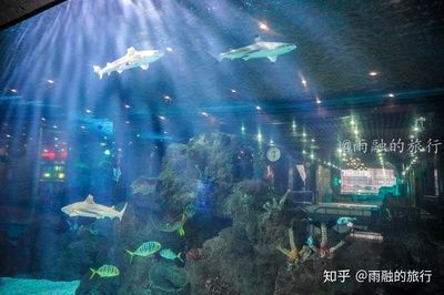 水族馆一年能赚多少钱人民币啊知乎：上海海洋水族馆一年能赚多少钱人民币的详细分析 水族馆百科（水族馆加盟） 第2张