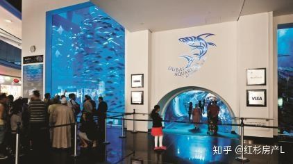 水族馆一年能赚多少钱人民币啊知乎：上海海洋水族馆一年能赚多少钱人民币的详细分析 水族馆百科（水族馆加盟） 第3张