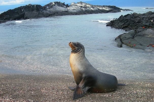 昆明水族批发市场：昆明水族批发市场在哪里 全国观赏鱼市场 第4张