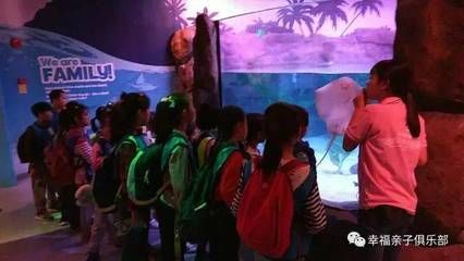 水族馆的视频：关于水族馆视频的网址 水族馆百科（水族馆加盟） 第1张