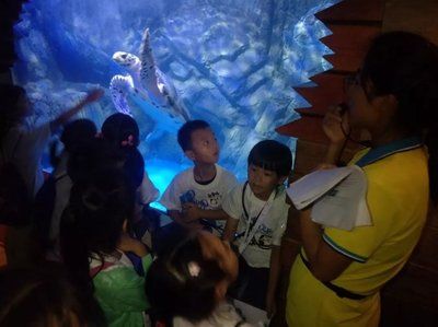 水族馆的视频：关于水族馆视频的网址 水族馆百科（水族馆加盟） 第4张