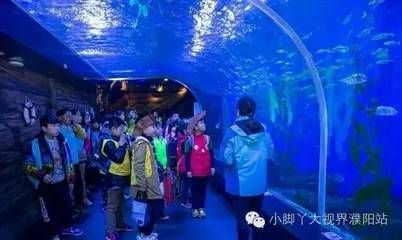 水族馆的视频：关于水族馆视频的网址 水族馆百科（水族馆加盟） 第3张