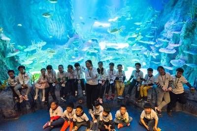 水族馆的视频：关于水族馆视频的网址 水族馆百科（水族馆加盟） 第5张