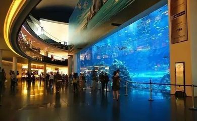 水族馆尺寸：全球知名的大型水族馆尺寸和规模可以从多个角度来了解 水族馆百科（水族馆加盟） 第5张