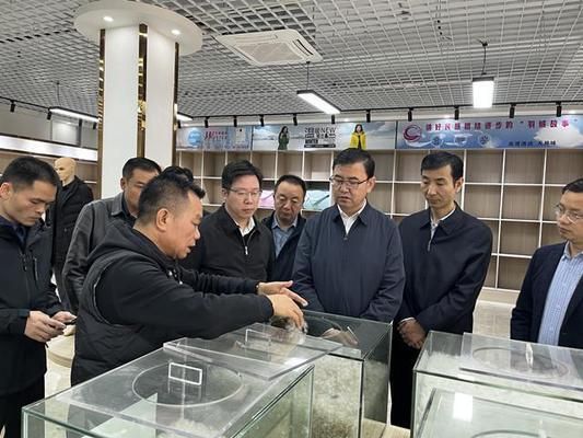 海北藏族自治州鱼缸批发市场：佛山海北藏族自治州鱼缸批发市场 全国观赏鱼市场 第6张