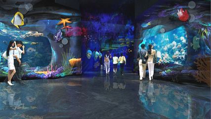 淄博水族馆 全国观赏鱼市场 第1张