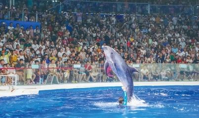 淄博水族馆 全国观赏鱼市场 第3张