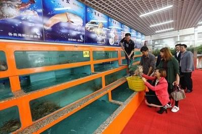 铜川水族批发市场：关于铜川水族批发市场 全国观赏鱼市场 第2张