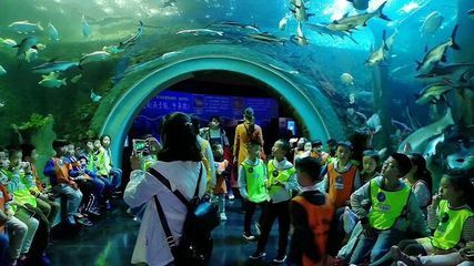 成都最大的水族馆在哪里：成都最大的水族馆 水族馆百科（水族馆加盟） 第5张