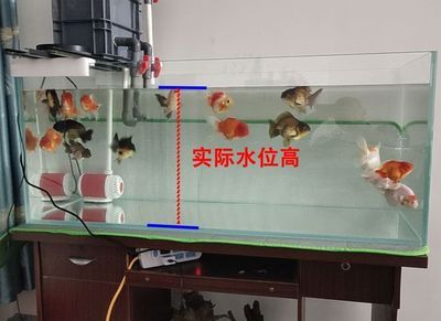 鱼缸装饰物毒性检测方法：鱼缸装饰物毒性检测 鱼缸百科 第1张