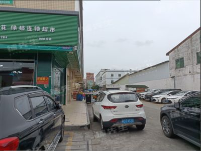 东莞水族批发市场：东莞水族批发市场在哪个位置东莞水族批发市场在哪个位置 全国观赏鱼市场 第1张