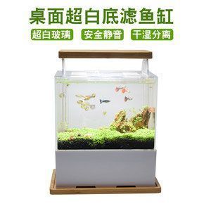 鱼缸内植物配置建议：鱼缸内的植物配置是提升观赏价值和水质净化关键的关键 鱼缸百科 第2张