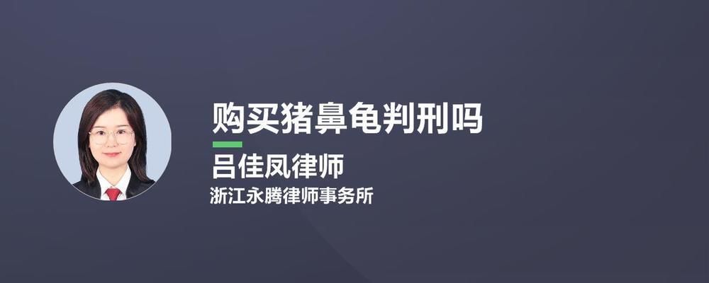 购买猪鼻龟判刑吗：购买猪鼻龟会判刑吗如果购买猪鼻龟会判刑吗 猪鼻龟百科 第4张