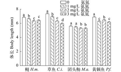 二十公分的金龙鱼一天吃几条小鱼：金龙鱼一天能吃几条小鱼？ 水族问答 第1张