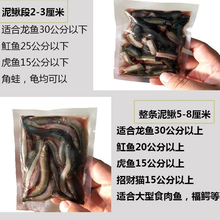 魟鱼饲料感官判断技巧：水产饲料原料的快速鉴别方法 魟鱼百科 第4张