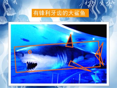 游戏 水族馆：《水族馆》系列游戏画面风格对比《轻松水族馆》系列游戏 水族馆百科（水族馆加盟） 第5张