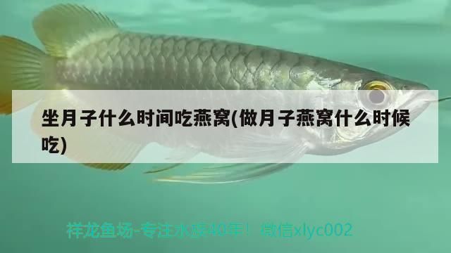 宿州鱼缸批发市场：宿州哪里有卖鱼缸的市场 全国观赏鱼市场 第8张