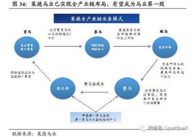 飞龙鱼百科：飞龙鱼是如何繁殖的？ 水族问答 第2张