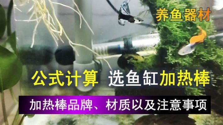 鱼缸保温材料选购技巧：选购鱼缸保温材料的技巧 鱼缸百科 第4张