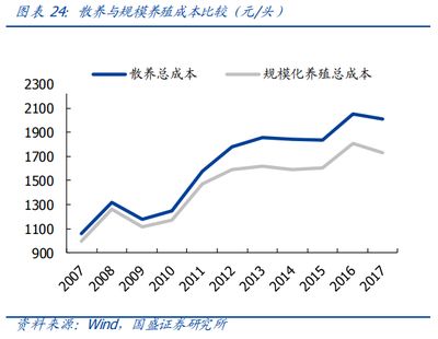 祥龙超血红龙鱼养殖成本分析 水族馆百科（水族馆加盟） 第3张