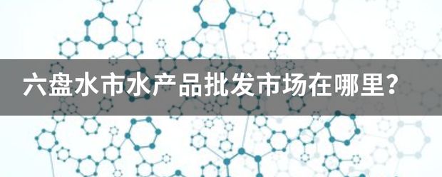 六盘水水族批发市场：六盘水水族批发市场地址 全国观赏鱼市场 第7张