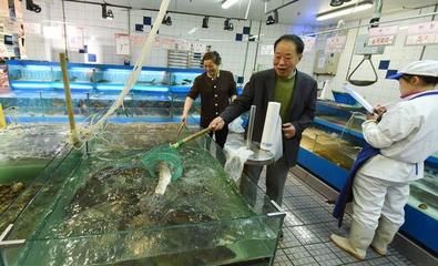 黄南藏族自治州鱼缸批发市场：成都鱼缸批发市场 全国观赏鱼市场 第3张