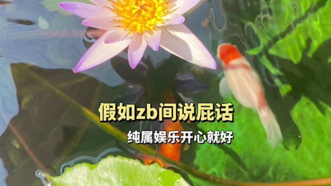 干煸海龙鱼最简单三个步骤：干煸海龙鱼如何保持嫩滑？ 水族问答 第2张