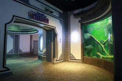 海东水族馆：东营区罗龙堂水族馆 全国观赏鱼市场 第2张