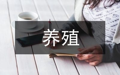 刚买的银龙鱼不吃东西 怎么办：刚买的银龙鱼不吃东西怎么办？ 水族问答 第2张