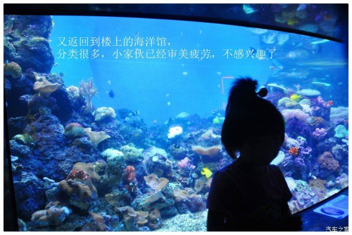 临汾水族馆：临汾区南水族馆 全国观赏鱼市场 第2张