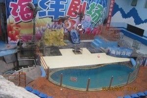 临汾水族馆：临汾区南水族馆 全国观赏鱼市场 第8张