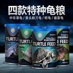 猪鼻龟现在多少钱一只 猪鼻龟百科 第9张