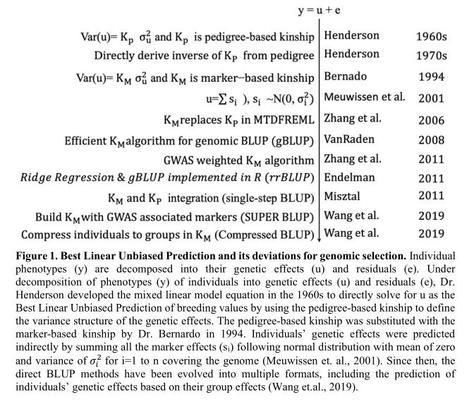 全基因组选育在其他观赏鱼中的应用：全基因组选育技术在观赏鱼中的应用体现在遗传标记的开发、基因组信息的应用 观赏鱼百科 第5张