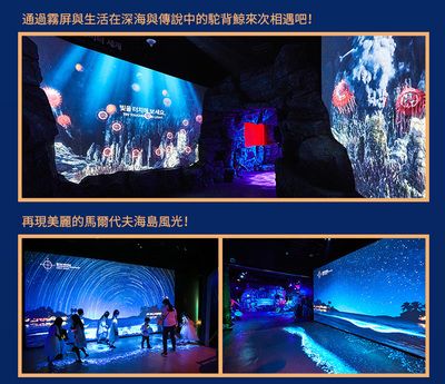 水族馆适合开到哪里去：水族馆如何选址 水族馆百科（水族馆加盟） 第2张