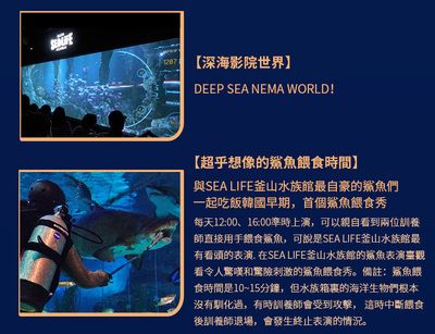 水族馆适合开到哪里去：水族馆如何选址 水族馆百科（水族馆加盟） 第4张