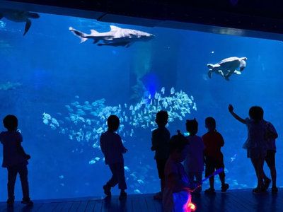 水族馆制作厂家电话：水族馆制作厂家电话的作用 水族馆百科（水族馆加盟） 第4张