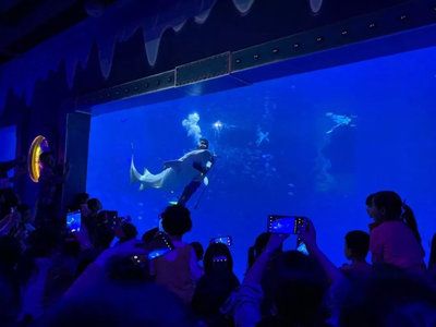 水族馆制作厂家电话：水族馆制作厂家电话的作用 水族馆百科（水族馆加盟） 第5张