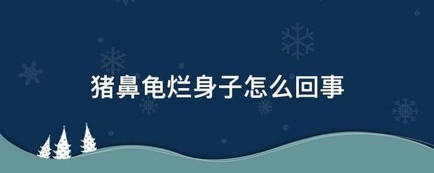 猪鼻龟全身红血丝腐烂：猪鼻腐烂怎么办 猪鼻龟百科 第4张