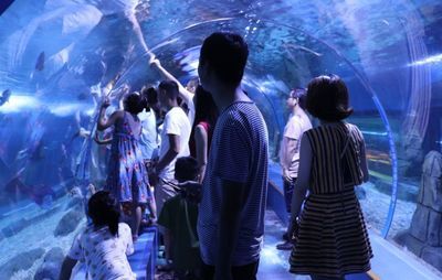 怀化水族馆：怀化旅游攻略 全国观赏鱼市场 第2张