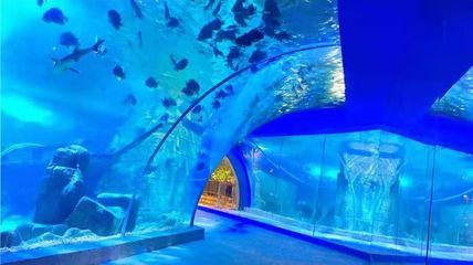 怀化水族馆：怀化旅游攻略 全国观赏鱼市场 第3张