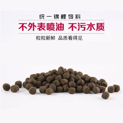 刚入缸的龙鱼不吃食怎么回事：刚入缸的龙鱼不吃东西怎么办？ 水族问答 第2张