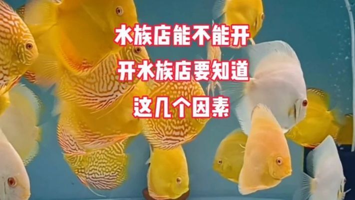 开个水族馆怎么样？：开设一家成功的水族馆需要投入大量的资金和精力和精力 水族馆百科（水族馆加盟） 第2张