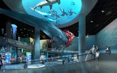 中国最大的海洋水族馆：中国拥有世界上最大的海洋水族馆 水族馆百科（水族馆加盟） 第3张