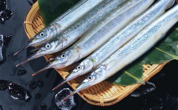 魟鱼繁殖期间的饮食管理：魟鱼繁殖期间饮食管理 魟鱼百科 第3张