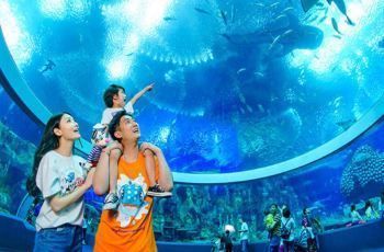 世界最大水族馆展示窗：世界上最大的水族馆展示窗位于珠海长隆海洋王国 水族馆百科（水族馆加盟） 第1张