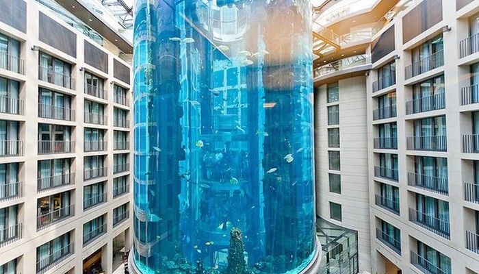 世界最大水族馆展示窗：世界上最大的水族馆展示窗位于珠海长隆海洋王国 水族馆百科（水族馆加盟） 第3张