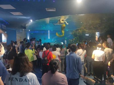 太原水族馆：太原水族馆是一个集观赏、科普、娱乐为一体的大型水族馆 全国观赏鱼市场 第2张