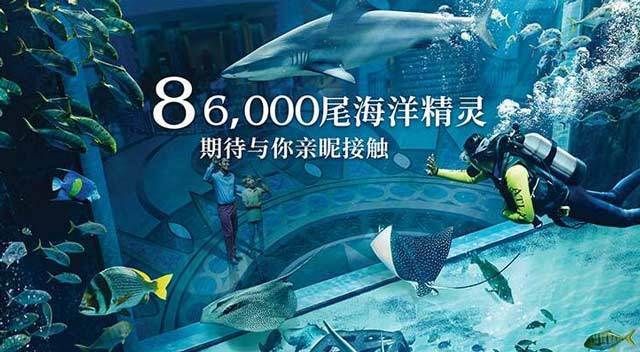 水族馆有表演吗：美人鱼表演背后的故事 水族馆百科（水族馆加盟） 第3张